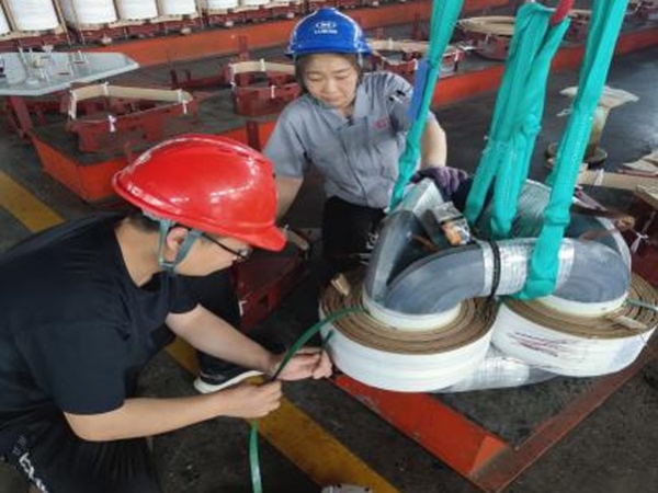 鲁变电工股份有限公司